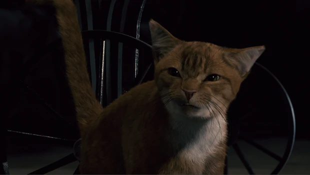 Frank Welker Sony Pictures Animation Wiki Fandom