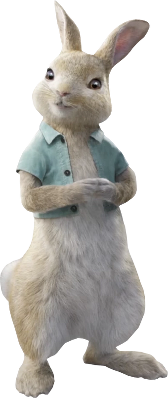 peter rabbit cottontail plush