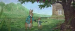 Peter Rabbit (film)/Gallery | Sony Pictures Animation Wiki | Fandom