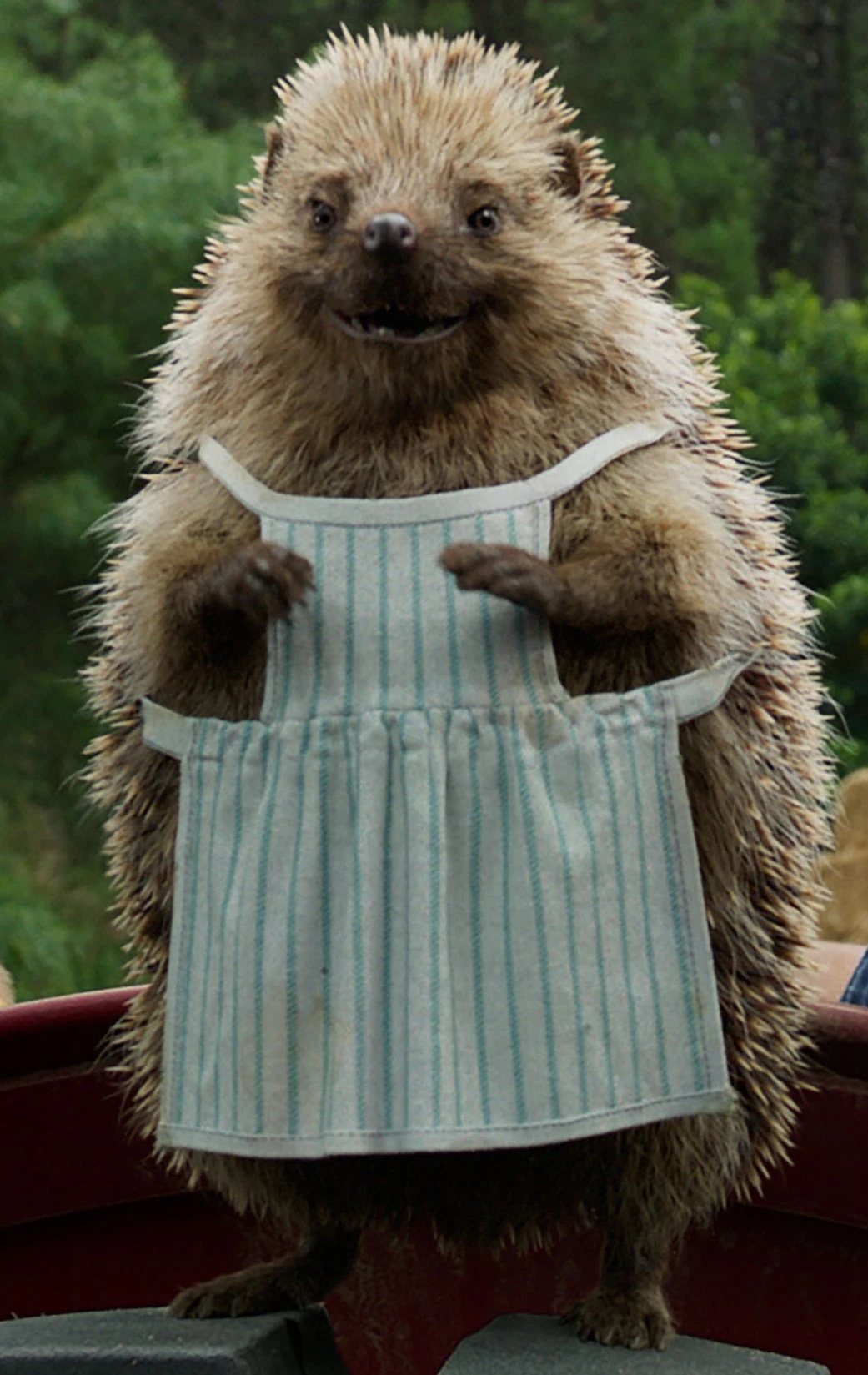 Mrs. Tiggy-Winkle | Sony Pictures Animation Wiki | Fandom