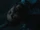 Unknown Symbiote
