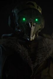 Vulture