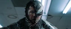 Brock and Venom says their line to 
