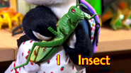 I for insect