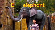 E for elephant