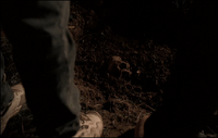 Emil Kolar's skeletal remains being dug up at Pat Blundetto’s farm by Christopher Moltisanti and his cousin Tony Blundetto in "Cold Cuts"