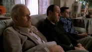 Tony Soprano, Anthony Soprano Jr. and Aaron Arkaway.png (859 KB)