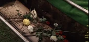 Jackie Sr's coffin