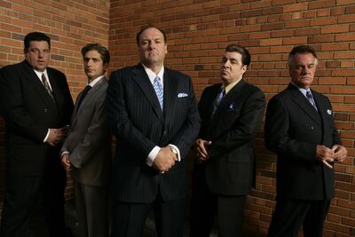 DiMeo/Soprano crime family, The Sopranos Wiki