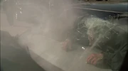 RobertBaccalieriBody