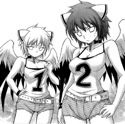 Harpies in normal clothes.