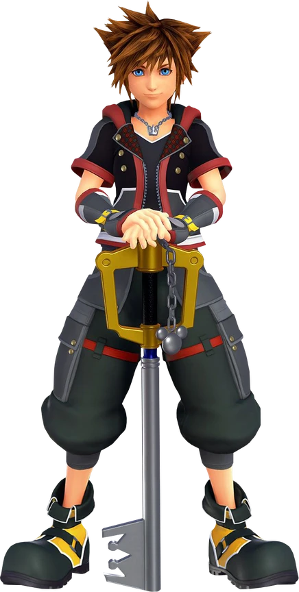 Sora | Sora's Adventures Series (X0209) Wiki | Fandom