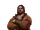 Hjalmar