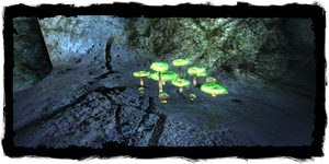 Places Psilocybe patch.png