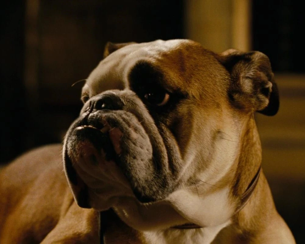 Tank The Sorcerer's Apprentice Wiki Fandom