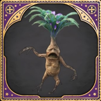 How to get a Mandrake in Hogwarts Legacy