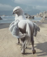 White-Grey Hippogriff