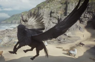 Black Hippogriff (Shiny)