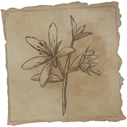 Hogwarts Legacy Fluxweed Stem: Where to find it