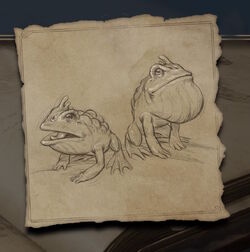 Giant Purple Toad, Hogwarts Legacy Wiki