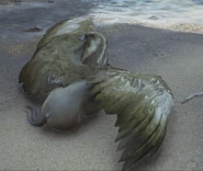 Female Exclusive Dirty Blonde Hippogriff