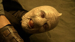 A Mriswith wearing its distinctive cloak