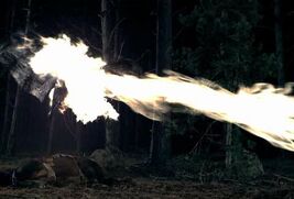 Wizardsfire