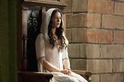 Mother Confessor Kahlan Amnell, wife to the Seeker of Truth, Lord Richard Rahl