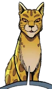 Leoparditähti-ASIR.png (191 KiB) Leoparditähti sarjakuvaromaanissa A Shadow in RiverClan.