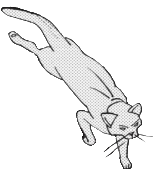 Tammiturkki mangassa Into the Woods.