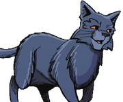 Myrskyturkki sarjakuvaromaanissa A Shadow in RiverClan.