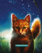 Squirrelstar-KK-8.png (2,46 MiB) Oravaliito kirjassa Opas klaanien maailmaan.