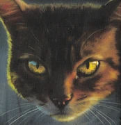 Vatukkatähti-rl6.png (9,39 MiB) Vatukkatähti kirjan Valo usvassa kannessa.