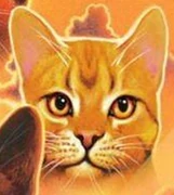 Leoparditähti-KK-2-EK.png (263 KiB) Leoparditähti kirjan Klaanien kissat kannessa.