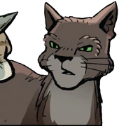 Tammiturkki sarjakuvaromaanissa A Thief in ThunderClan.