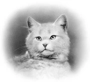 Valkomyrsky kirjassa Klaanien laki.