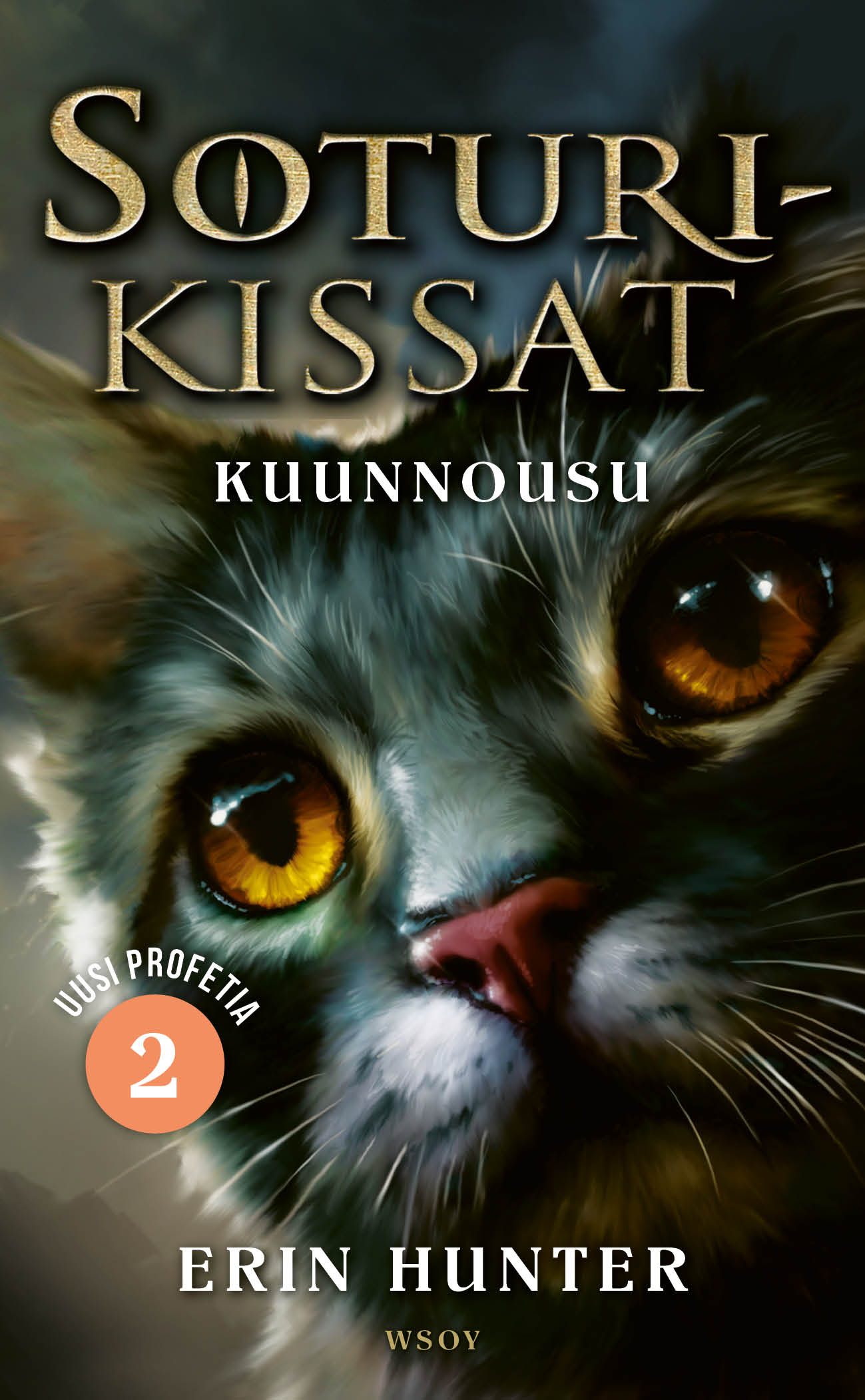 Kuunnousu | Soturikissat Wiki | Fandom