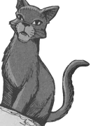 Sinitähti kirjan Bluestar's Prophecy sarjakuvassa.