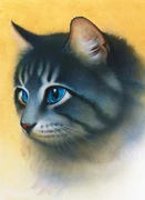 Järkäle kirjoissa Klaanien kissat ja The Ultimate Guide.