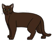 SKW-Yökuiske-aikuinen.png (99 KiB) Aikuisena