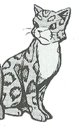 Leoparditähti-manga.png (52 KiB) Leoparditähti mangassa Soturin paluu.
