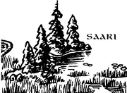 Saari