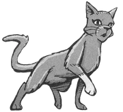 Squirrelstar-ES-7.png (116 KiB) Oravaliito kirjan Bramblestar's Storm sarjakuvassa.