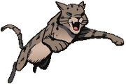 Saarnitassu sarjakuvaromaanissa A Shadow in RiverClan.