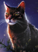 Windstar.png (220 KiB) Tuulitähti kirjan Tähtien polku kannessa.