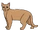 Aamutähti