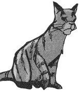 Vatukkakynsi-ES-6.png (108 KiB) Vatukkakynsi kirjan Tallstar's Revenge sarjakuvassa.