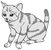 Moth mangassa Return to the Clans.