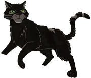 Yökarva sarjakuvaromaanin Exile from ShadowClan kannessa.