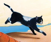 Pitkätähti-KK-6.jpg (386 KiB) Pitkätähti kirjoissa Klaanien kissat ja The Ultimate Guide.